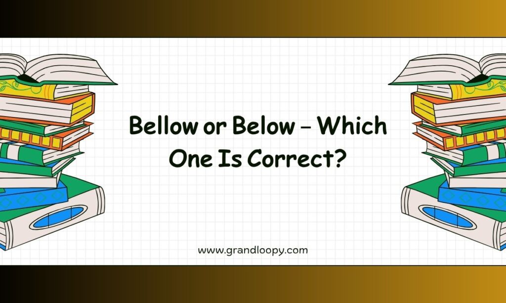 Bellow or Below – Which One Is Correct