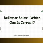 Bellow or Below – Which One Is Correct