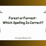 Forest or Forrest Which Spelling Is Correct