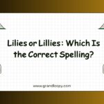 Lilies or Lillies Which Is the Correct Spelling