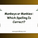 Monkeys or Monkies