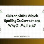 Skis or Skiis