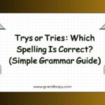 Trys or Tries Which Spelling Is Correct (Simple Grammar Guide)