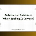 Ambience or Ambiance Which Spelling Is Correct
