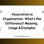 Association vs Organization Whats the Difference Meaning, Usage & Examples