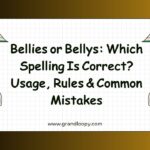 Bellies or Bellys Which Spelling Is Correct Usage, Rules & Common Mistakes