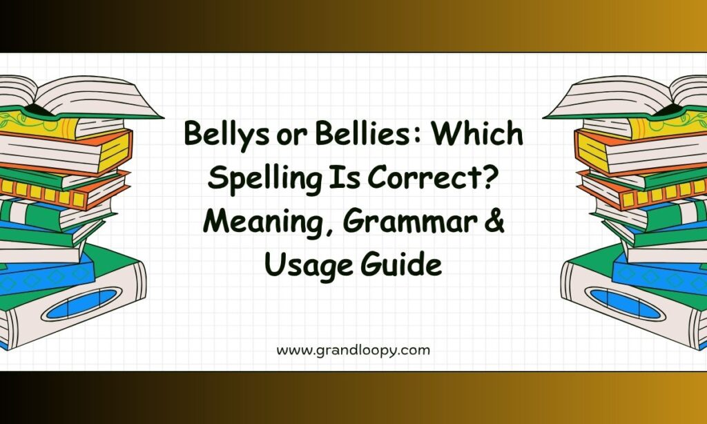 Bellys or Bellies Which Spelling Is Correct Meaning, Grammar & Usage Guide