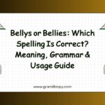 Bellys or Bellies Which Spelling Is Correct Meaning, Grammar & Usage Guide