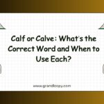 Calf or Calve Whats the Correct Word and When to Use Each