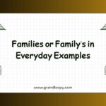 Families or Familys in Everyday Examples
