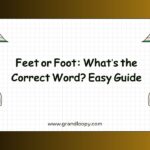 Feet or Foot Whats the Correct Word Easy Guide