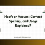 Hoofs or Hooves Correct Spelling, and Usage Explained