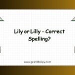 Lily or Lilly – Correct Spelling
