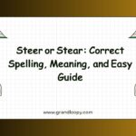 Steer or Stear Correct Spelling, Meaning, and Easy Guide