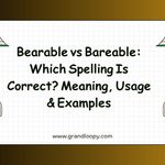 Bearable vs Bareable_ Which Spelling Is Correct_ Meaning, Usage & Examples