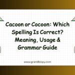 Cacoon or Cocoon Which Spelling Is Correct Meaning, Usage & Grammar Guide