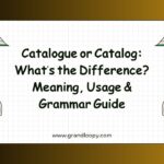 Catalogue or Catalog Whats the Difference Meaning, Usage & Grammar Guide
