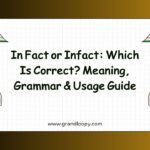 In Fact or Infact Which Is Correct Meaning, Grammar & Usage Guide