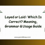 Layed or Laid Which Is Correct Meaning, Grammar & Usage Guide