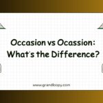 Occasion vs Ocassion Whats the Difference
