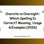 Oversite vs Oversight_ Which Spelling Is Correct_ Meaning, Usage & Examples (2026)