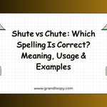 Shute vs Chute_ Which Spelling Is Correct_ Meaning, Usage & Examples
