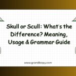Skull or Scull Whats the Difference Meaning, Usage & Grammar Guide