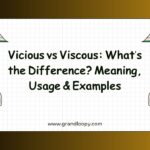 Vicious vs Viscous Whats the Difference Meaning, Usage & Examples