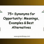 75+ Synonyms for Opportunity_ Meanings, Examples & Best Alternatives