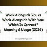Work Alongside You vs Work Alongside With You_ Which Is Correct_ Meaning & Usage (2026)