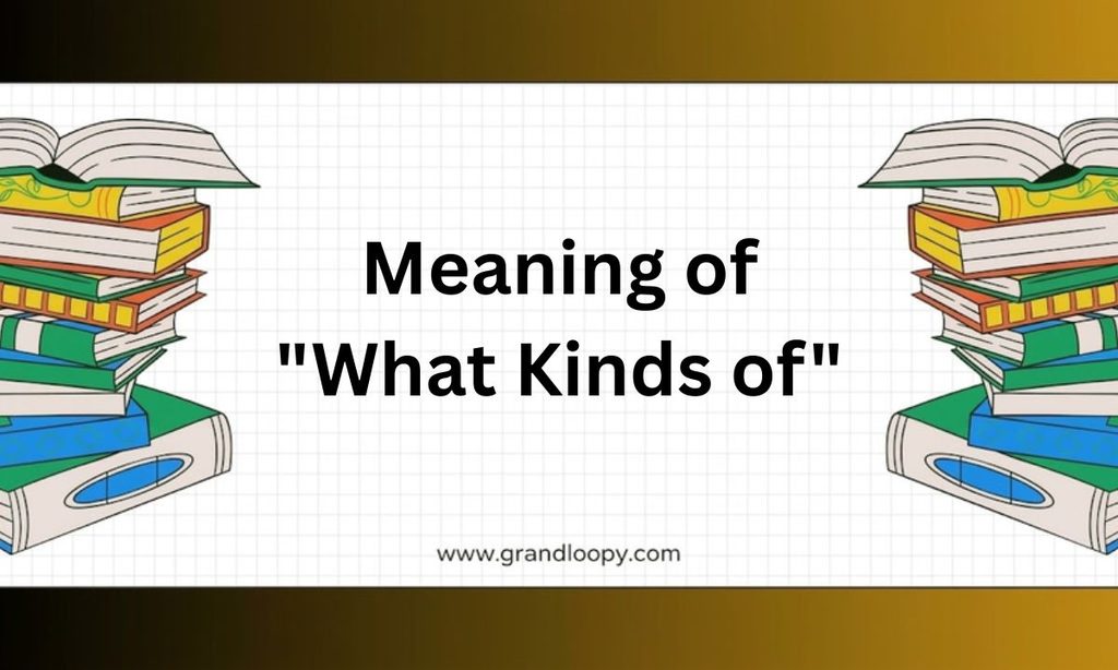 Meaning of What Kinds of