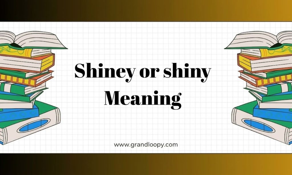 Shiney or shiny Meaning
