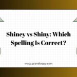 Shiney vs Shiny Which Spelling Is Correct